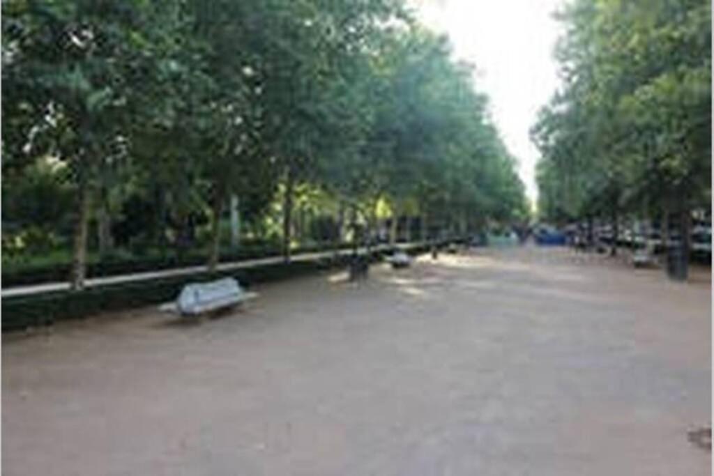 Bonito Apartamento Junto A Paseo De La Bomba Daire Granada Dış mekan fotoğraf